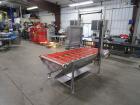 2013 Pizzamatic Band Conveyor